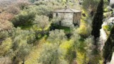 Villa for sale Castiglion Fiorentino Cortona Italy