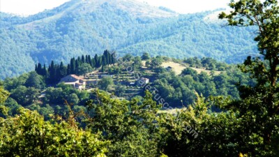 Hilltop villa For Sale Tuscany Arezzo