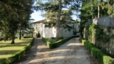 1319- villa for sale Sansepolcro- 19