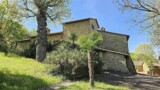 1356- Luxury villa for sale Tuscany Cortona- 11