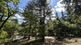 HC-1730- House for sale Tuscany Fragaiolo- (12)